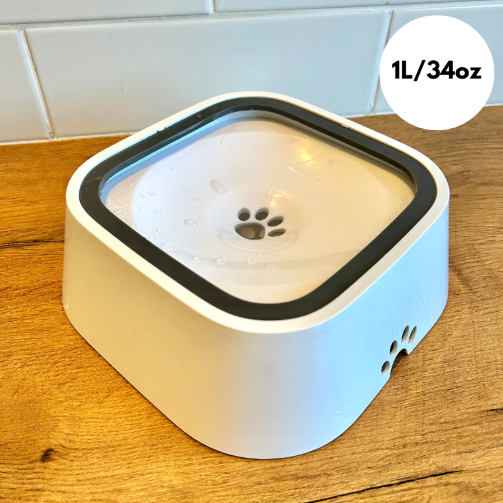 MagicPaws™ No Spill Pet Bowl