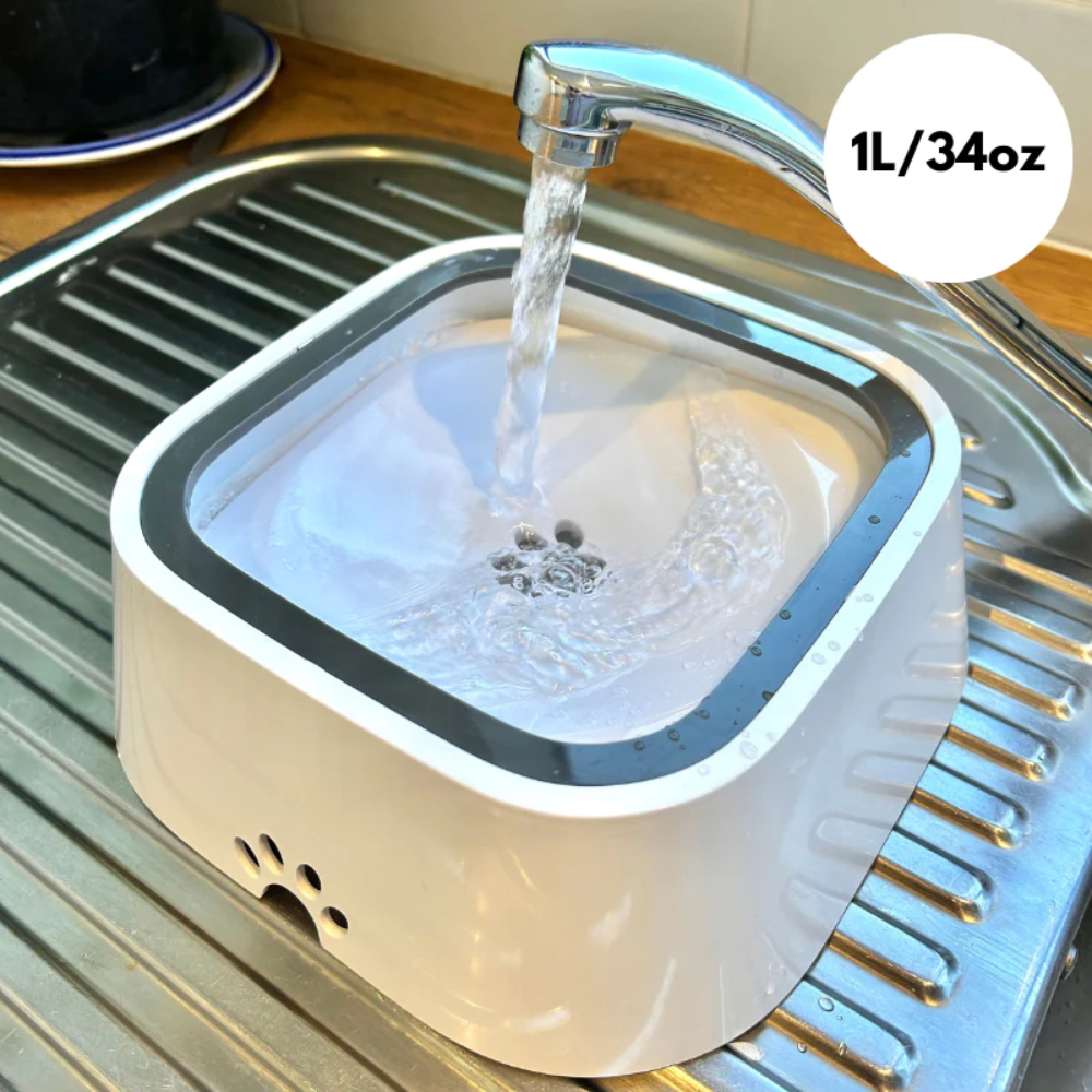MagicPaws™ No Spill Pet Bowl