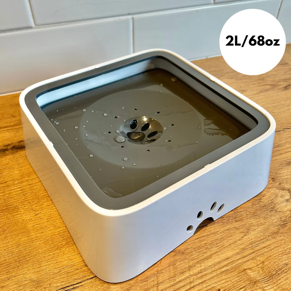 MagicPaws™ No Spill Pet Bowl