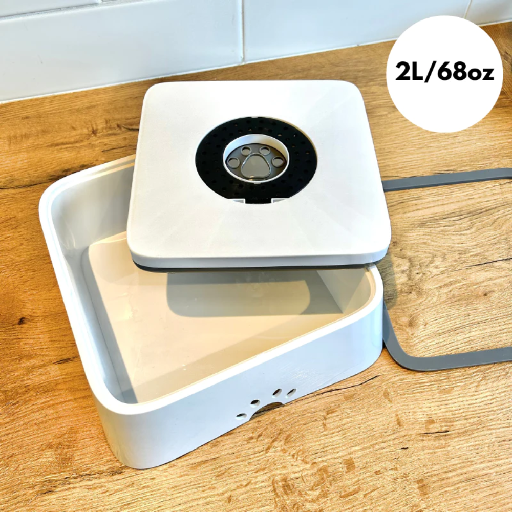 MagicPaws™ No Spill Pet Bowl