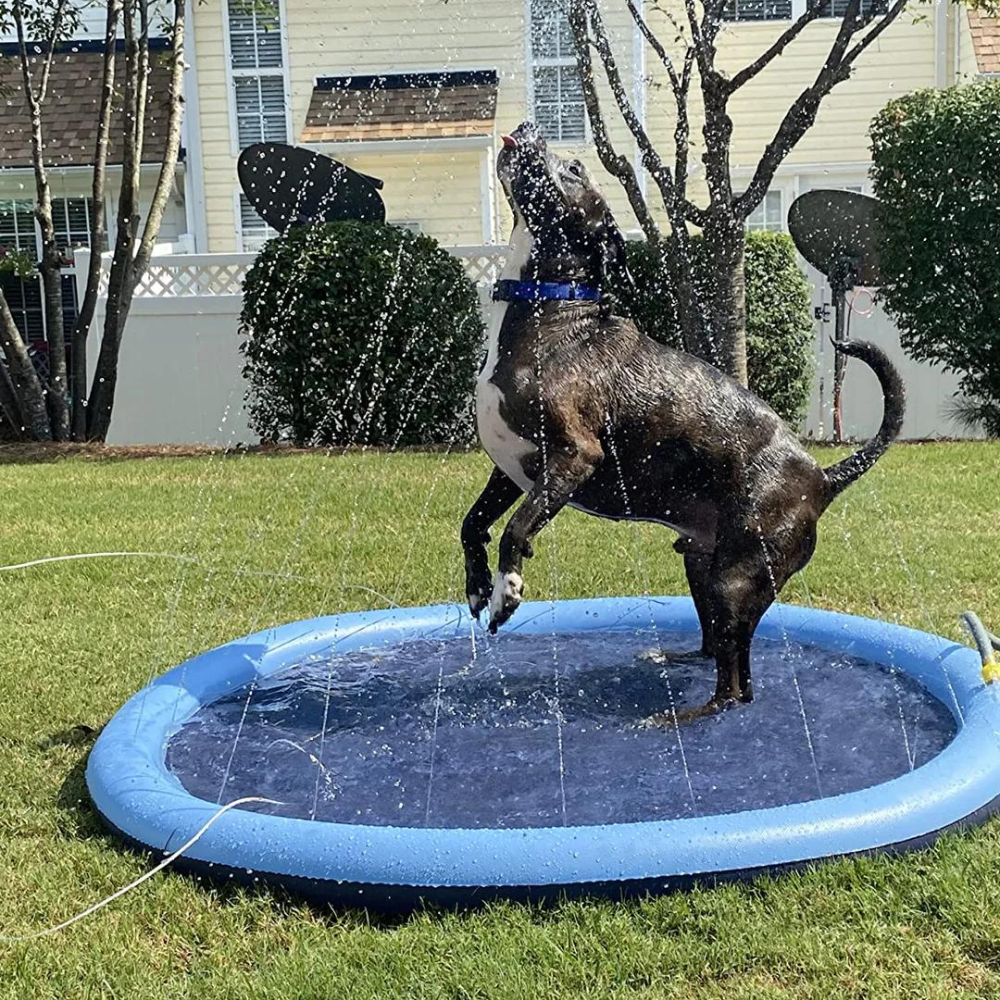 MagicPaws™ Pet Sprinkler Pad