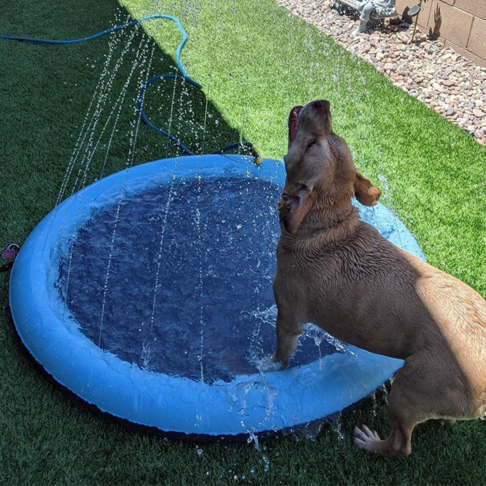 MagicPaws™ Pet Sprinkler Pad