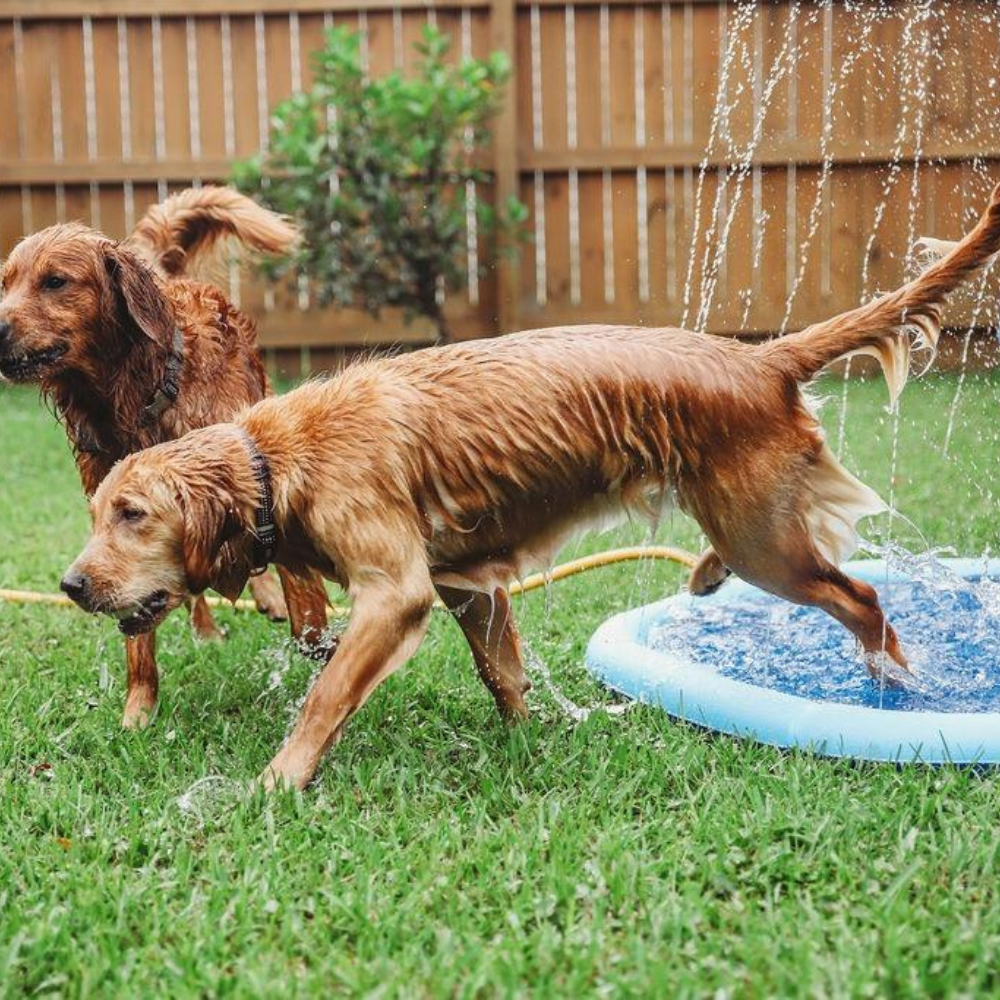 MagicPaws™ Pet Sprinkler Pad