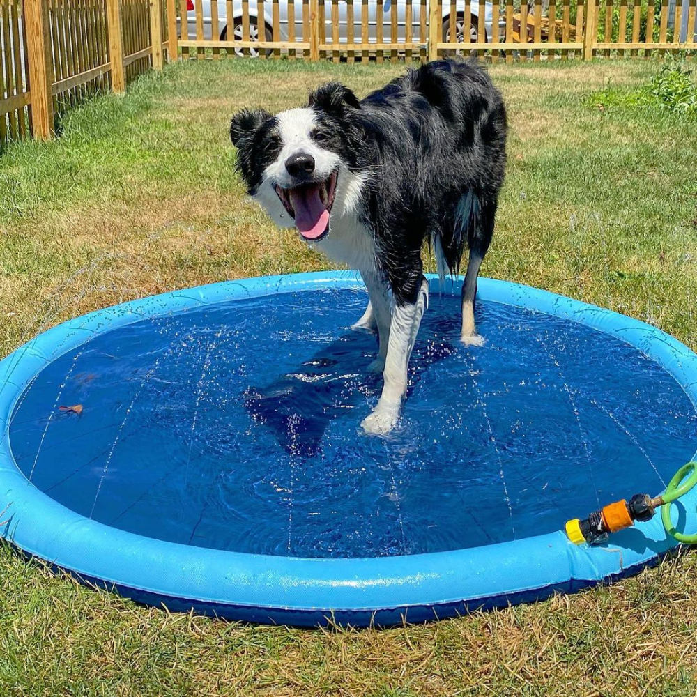 MagicPaws™ Pet Sprinkler Pad