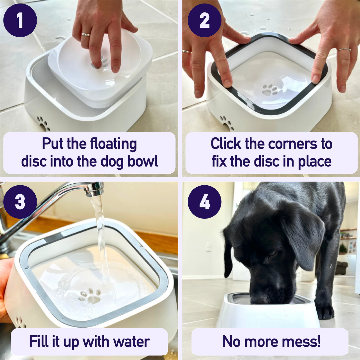 MagicPaws™ No Spill Pet Bowl