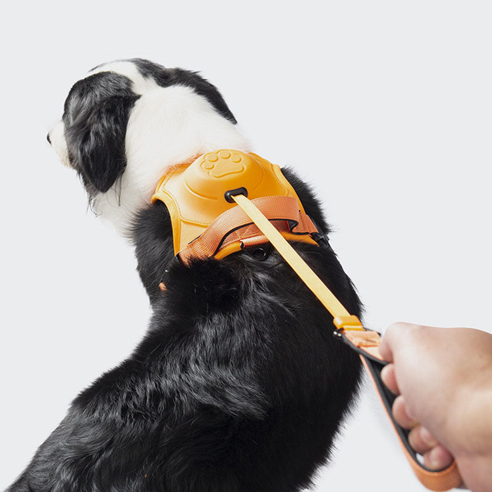 MagicPaws™ Retractable Harness