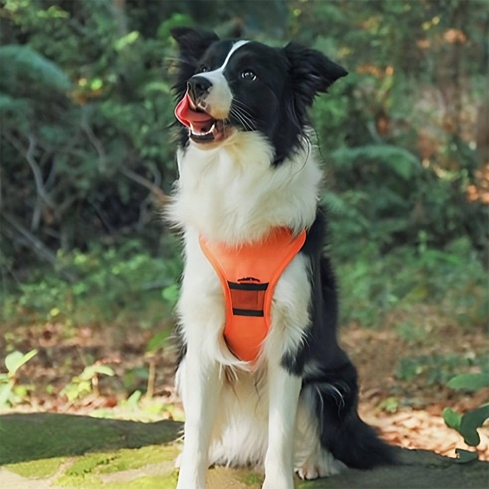 MagicPaws™ Retractable Harness