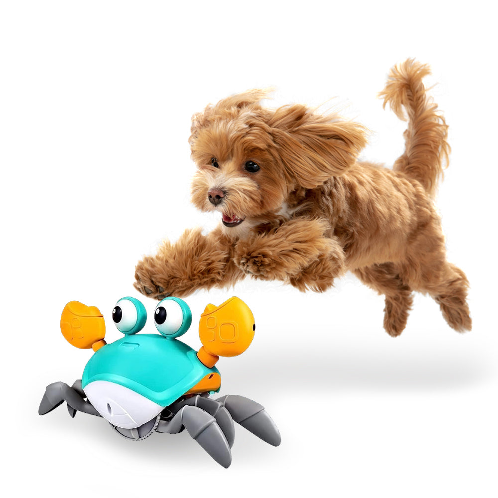 Magic Paws™ Krab Krawl