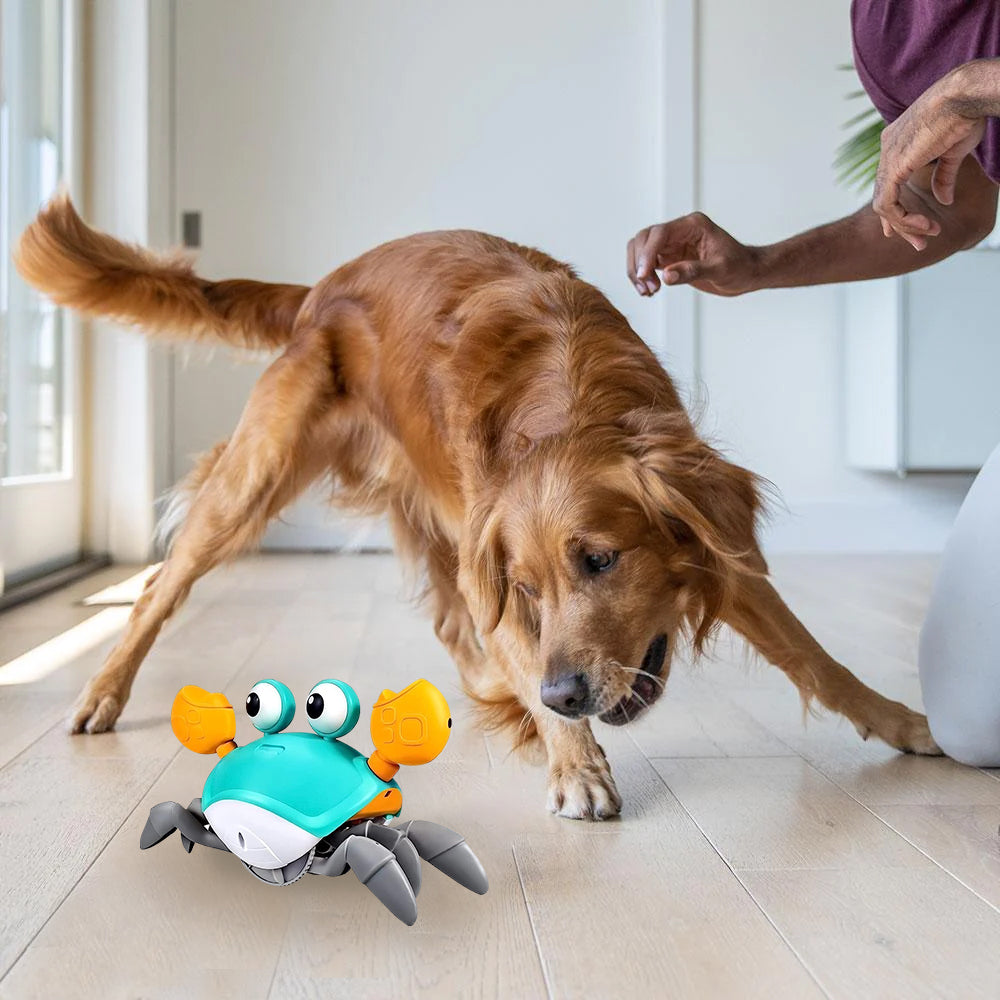 Magic Paws™ Krab Krawl
