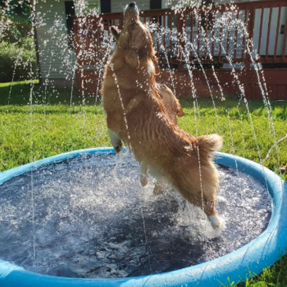 MagicPaws™ Pet Sprinkler Pad