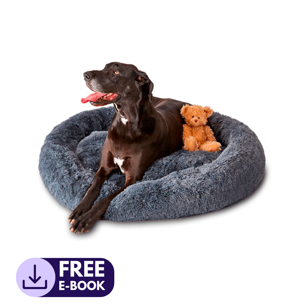 MagicPaws™ Cloud 7 Cuddly Dog Bed