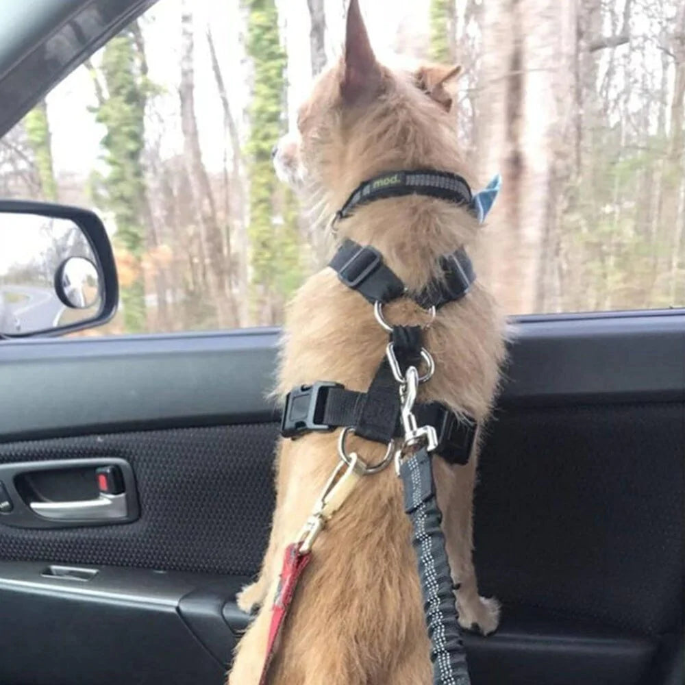 MagicPaws™ Dog Safety Belt 2.0