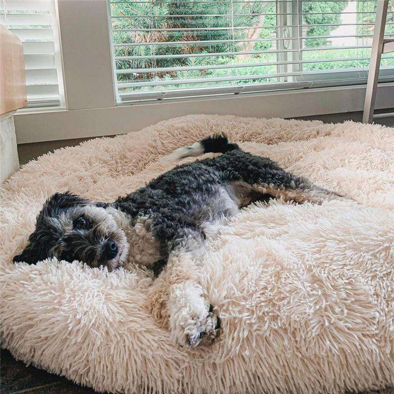 MagicPaws™ Cloud 7 Cuddly Dog Bed