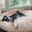 MagicPaws™ Cloud 7 Calming Dog Bed