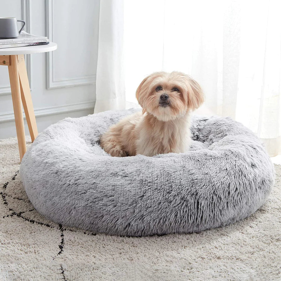 MagicPaws™ Cloud 7 Cuddly Dog Bed