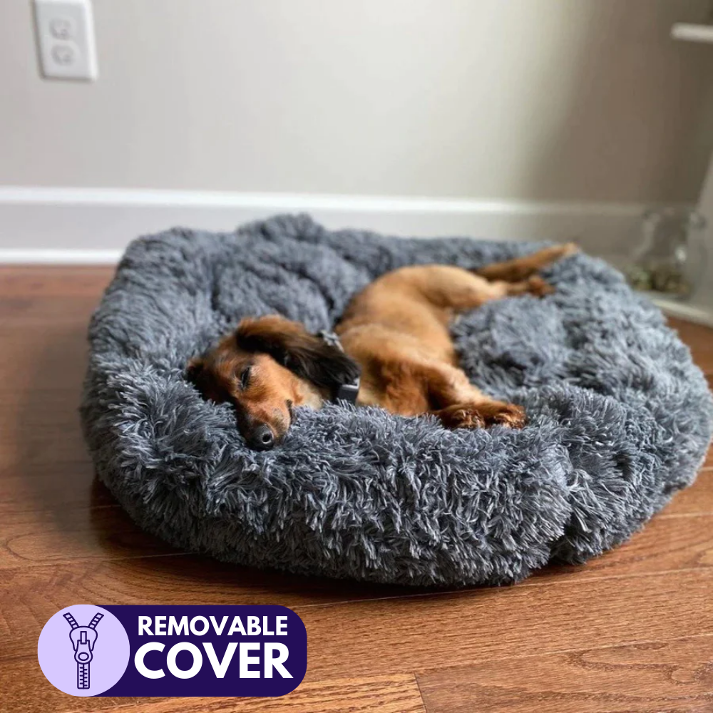 MagicPaws™ Cloud 7 Calming Dog Bed