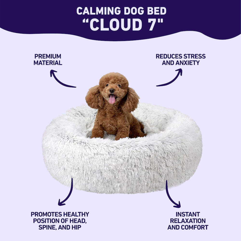 MagicPaws™ Cloud 7 Cuddly Dog Bed