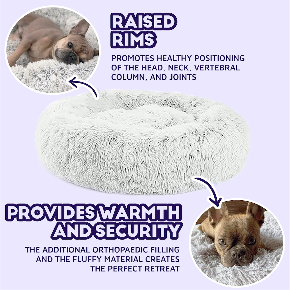 MagicPaws™ Cloud 7 Cuddly Dog Bed