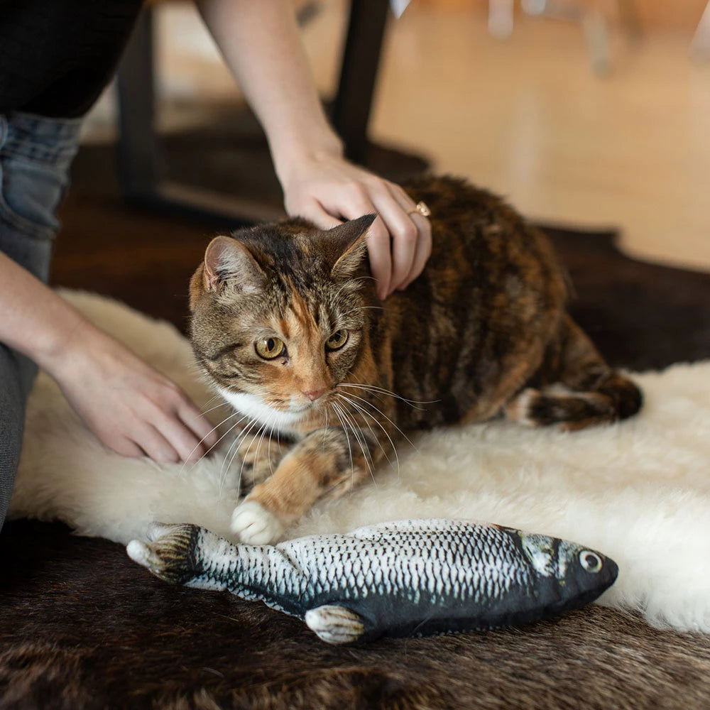 MagicPaws™ Flopping Fish Toy