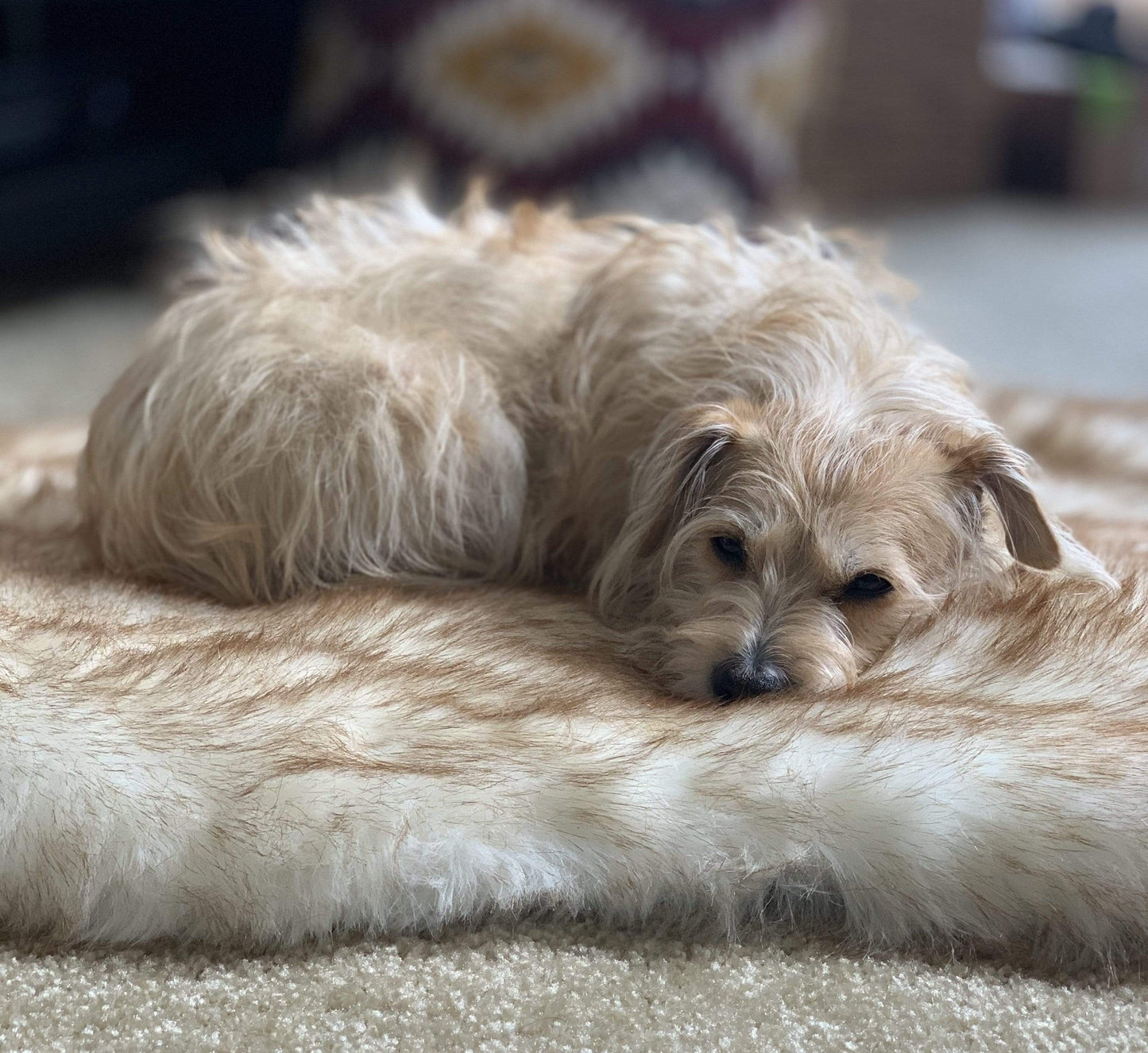 Magic Paws™ Faux Fur Orthopedic Soothing Bed