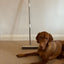 Magic Paws™ Pet Hair Removal Broom