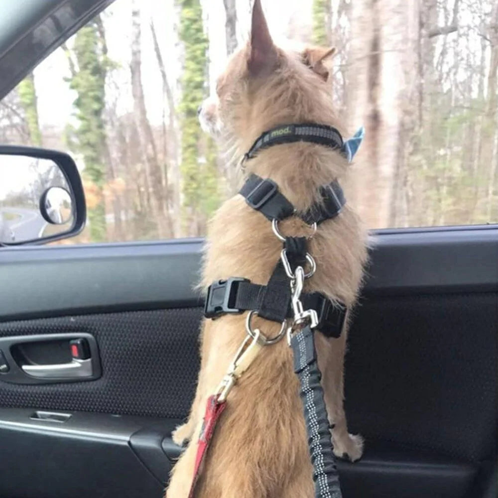 Dog Seat Belt  For Paws Philly