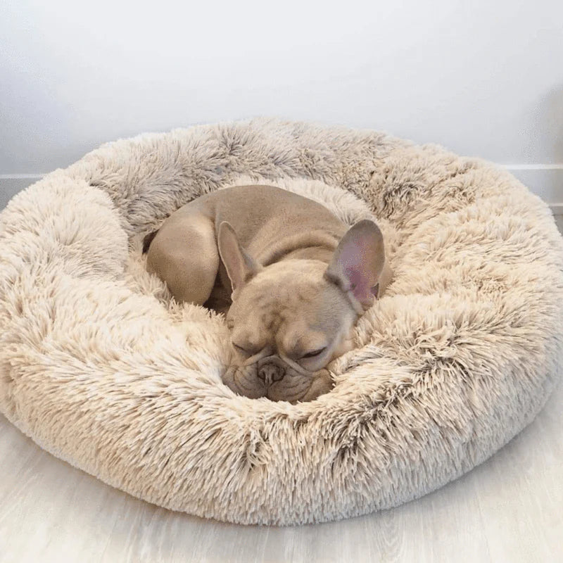 MagicPaws™ Cloud 7 Calming Dog Bed