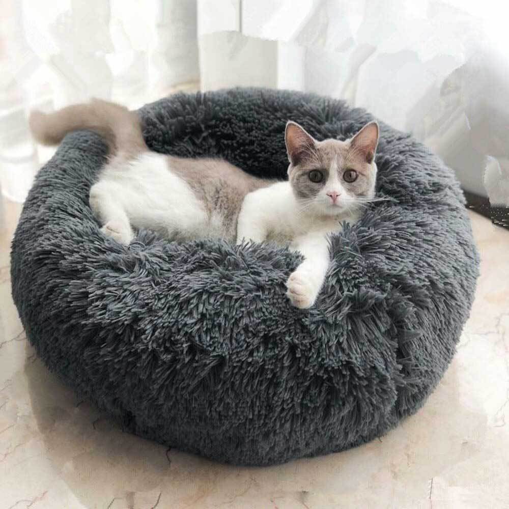 MagicPaws™ Calming Cat Bed