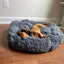 MagicPaws™ Cloud 7 Cuddly Dog Bed & Flopping Fish Toy Bundle
