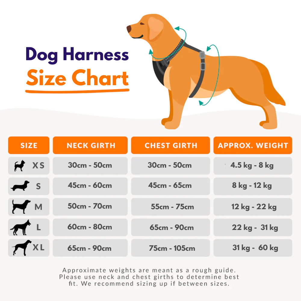 Magic Paws™ Dog Harness