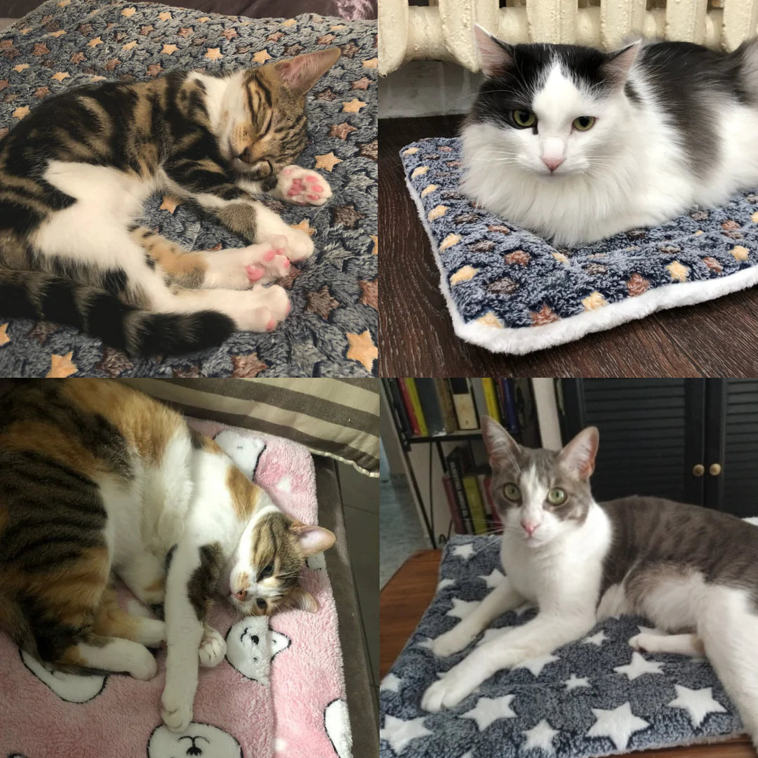 MagicPaws™ Calming Cat Blanket – Magic Paws