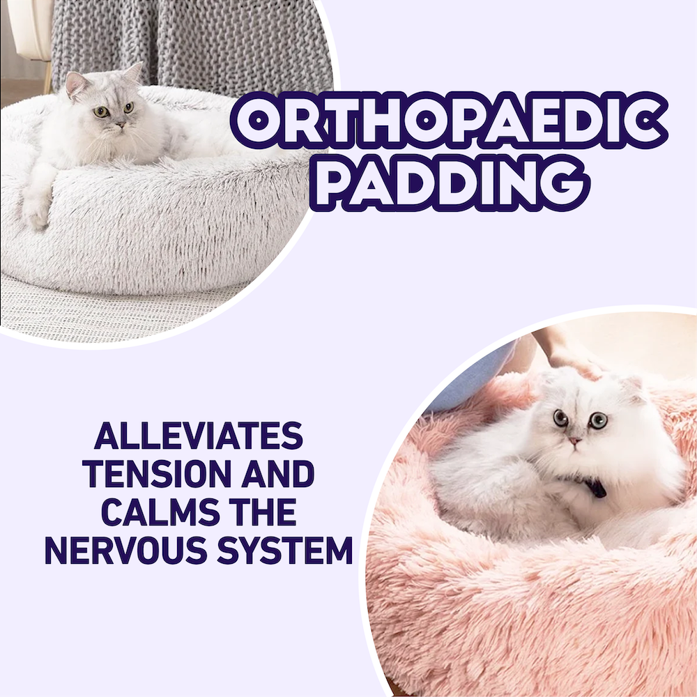 MagicPaws™ Calming Cat Bed