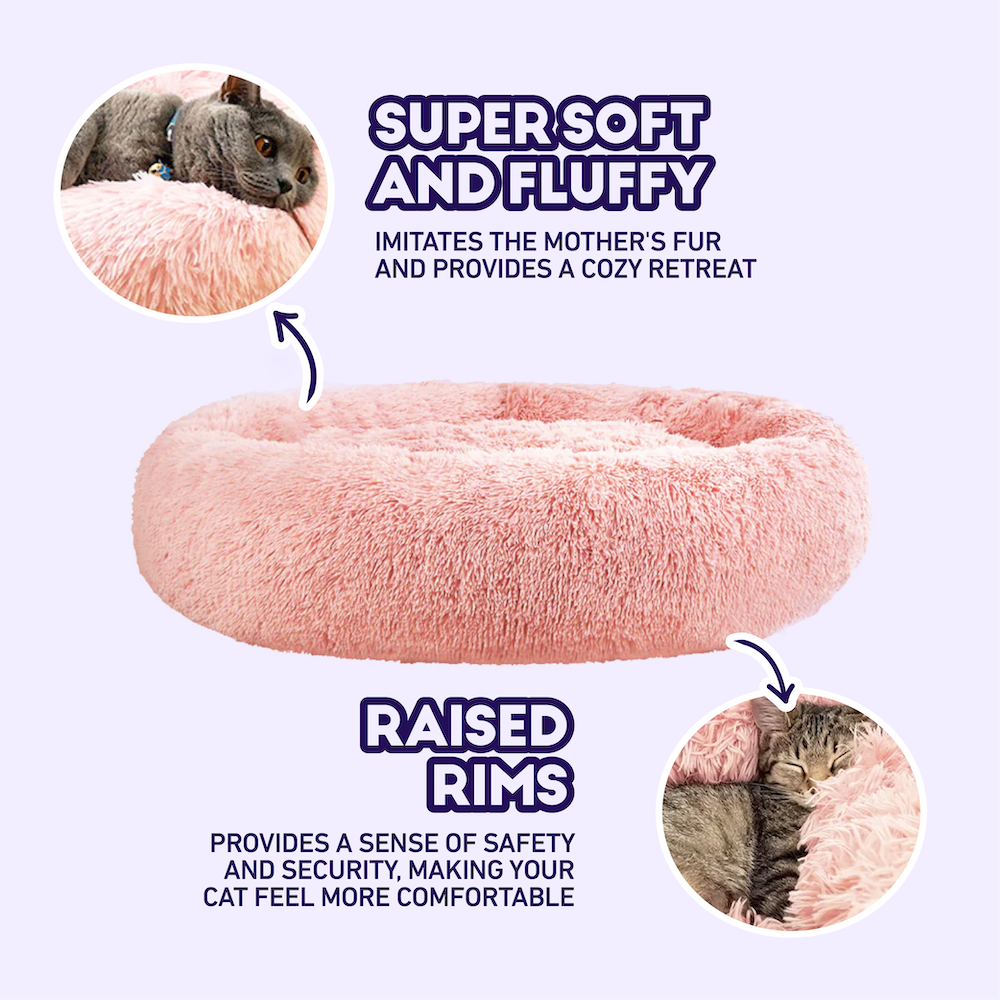 MagicPaws™ Calming Cat Bed