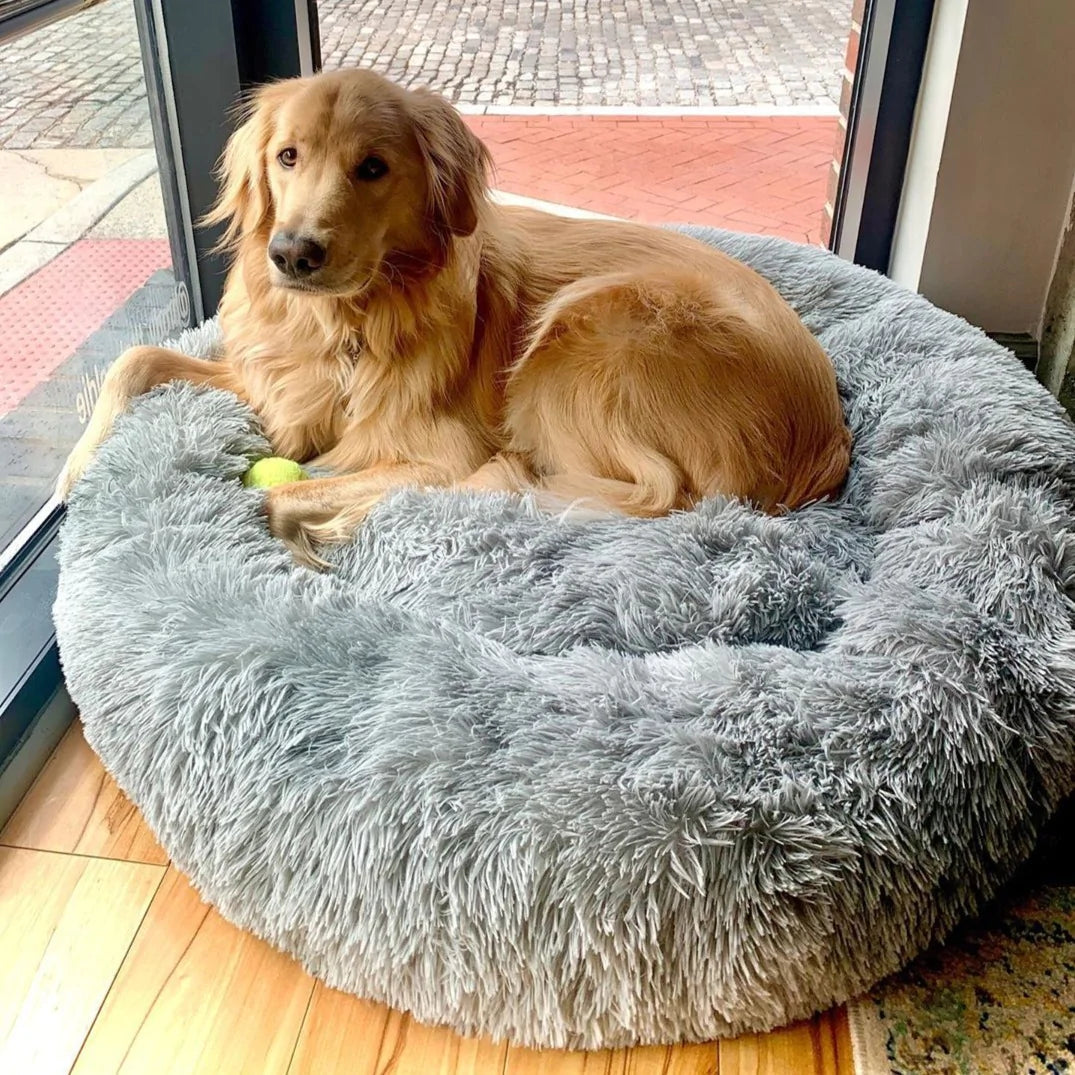 Comfy calming store dog beds