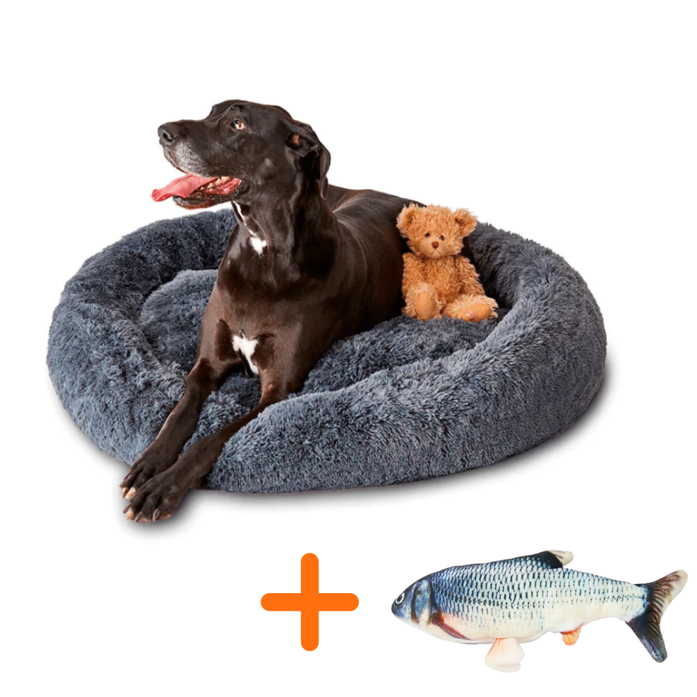 MagicPaws™ Cloud 7 Cuddly Dog Bed & Flopping Fish Toy Bundle