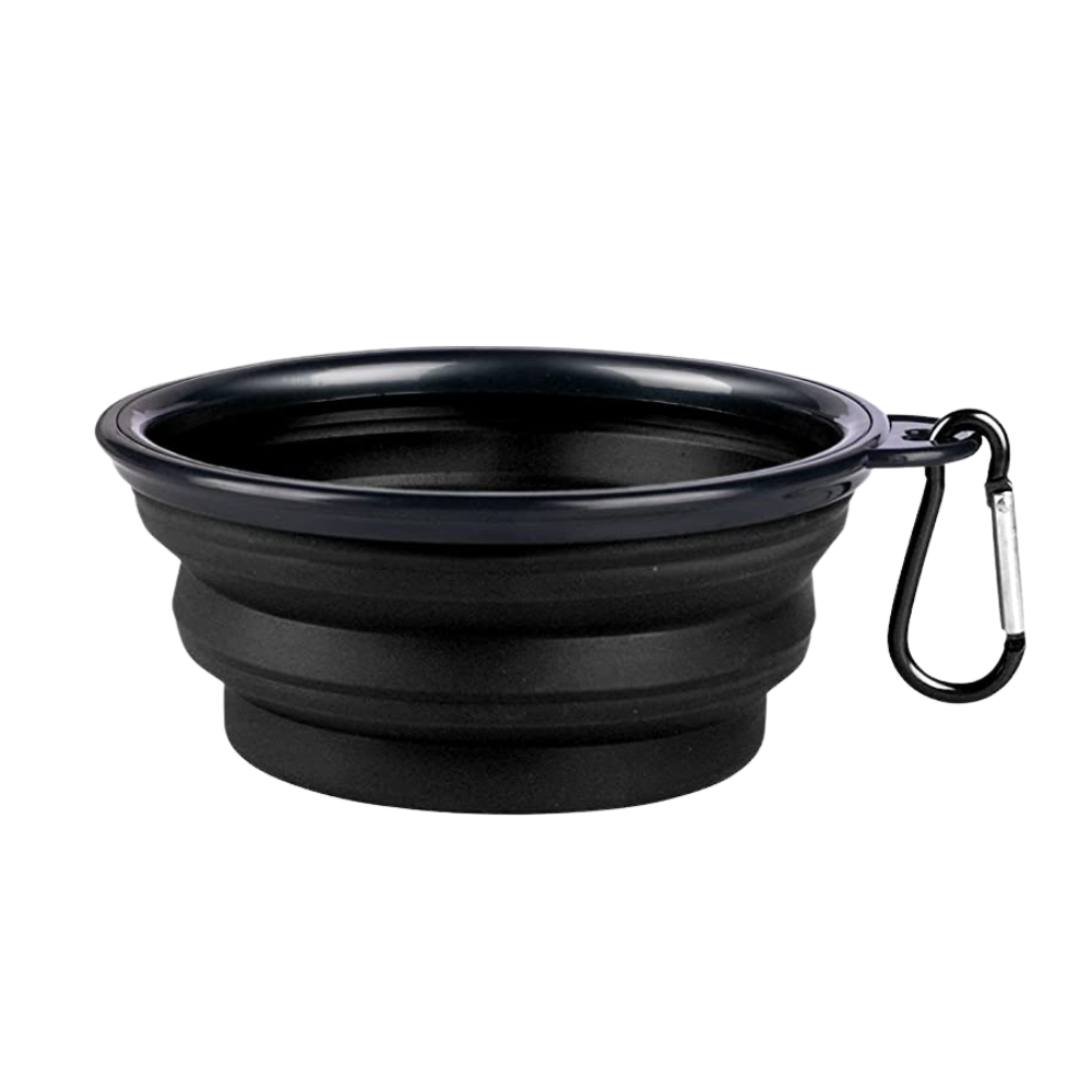 FREE Collapsible Water Bowl